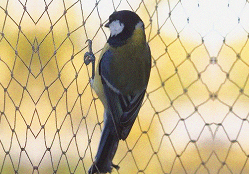Producto Malla Antipájaro